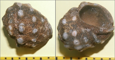 © Thijs de Boer © Thijs de Boer